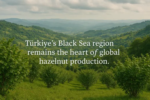 Hazelnut origin map